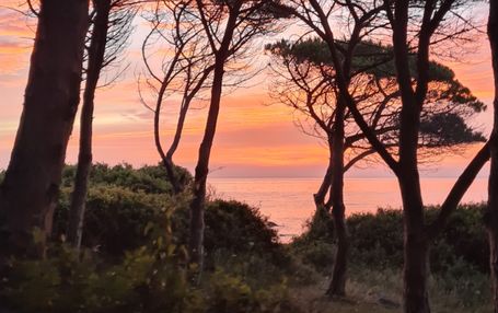 Häuser mit Meerblick Villen in Strandnähe Sardinien