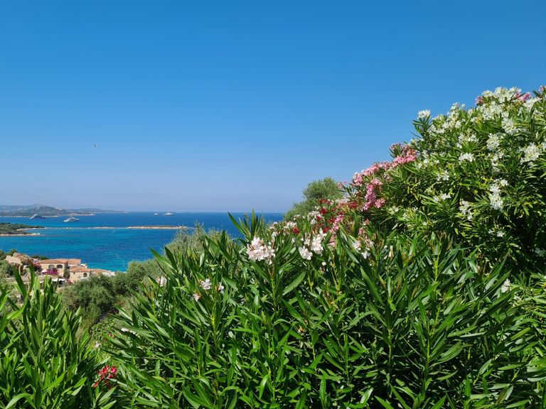 Budoni Strand
