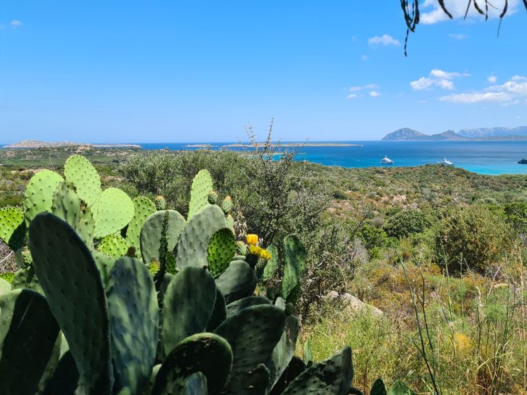 Budoni Strand