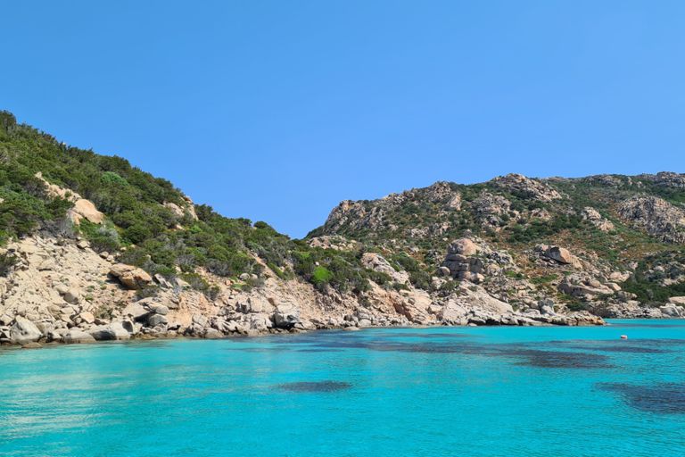 Pinienwald Baia Sant'Anna